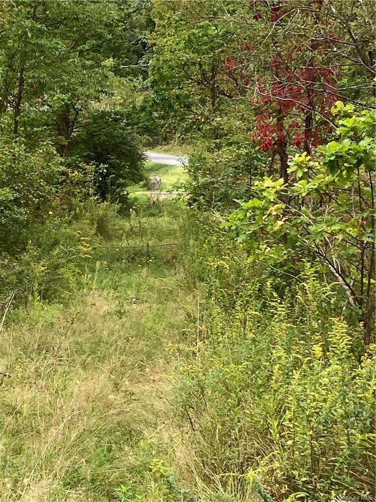 Logtown RD, Port Jervis, NY 12771