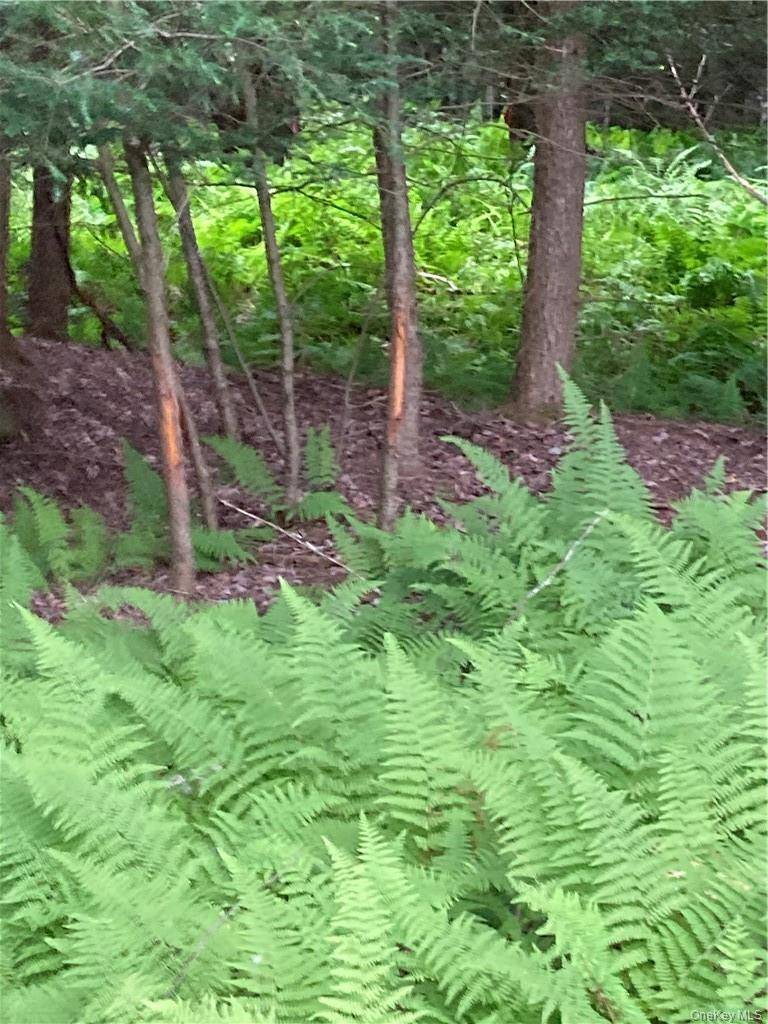 Logtown RD, Port Jervis, NY 12771
