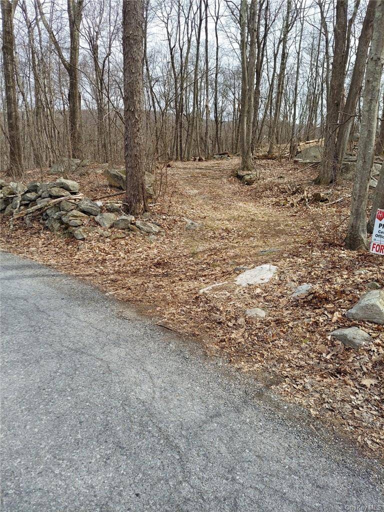 489 Grape Hollow RD, Holmes, NY 12531