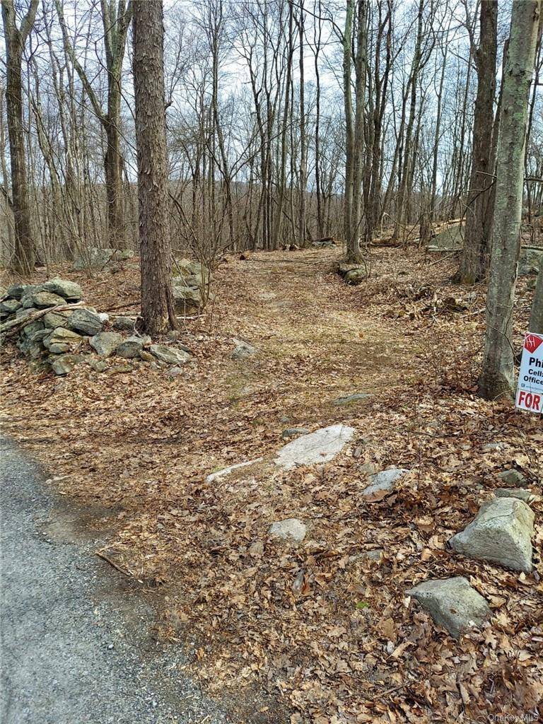 489 Grape Hollow RD, Holmes, NY 12531