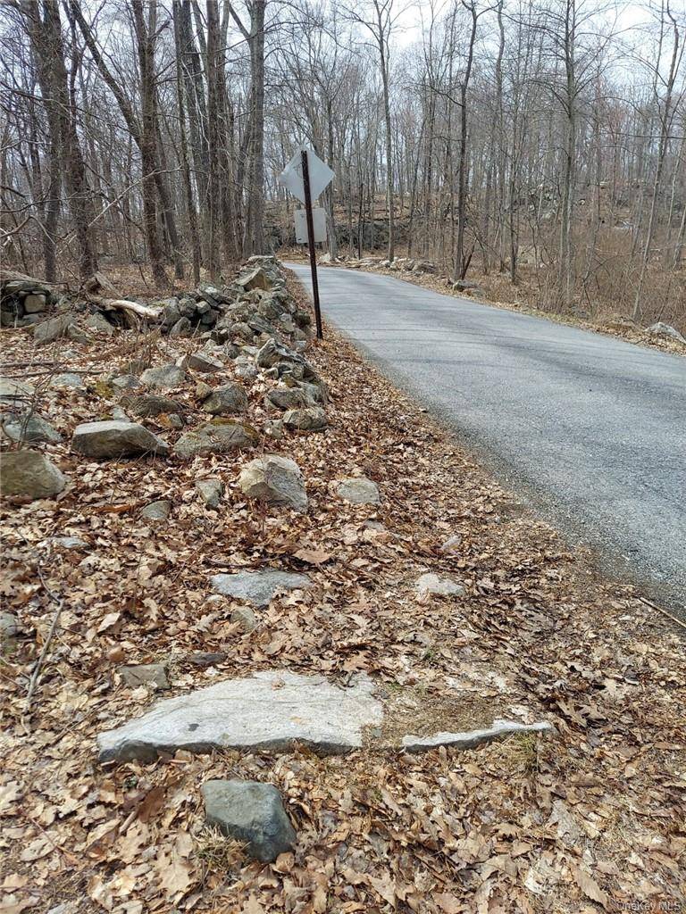 489 Grape Hollow RD, Holmes, NY 12531