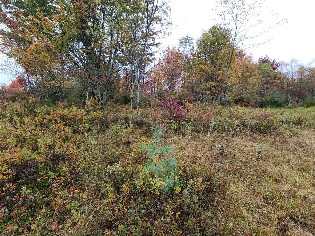 116 Voss RD, Claryville, NY 12725