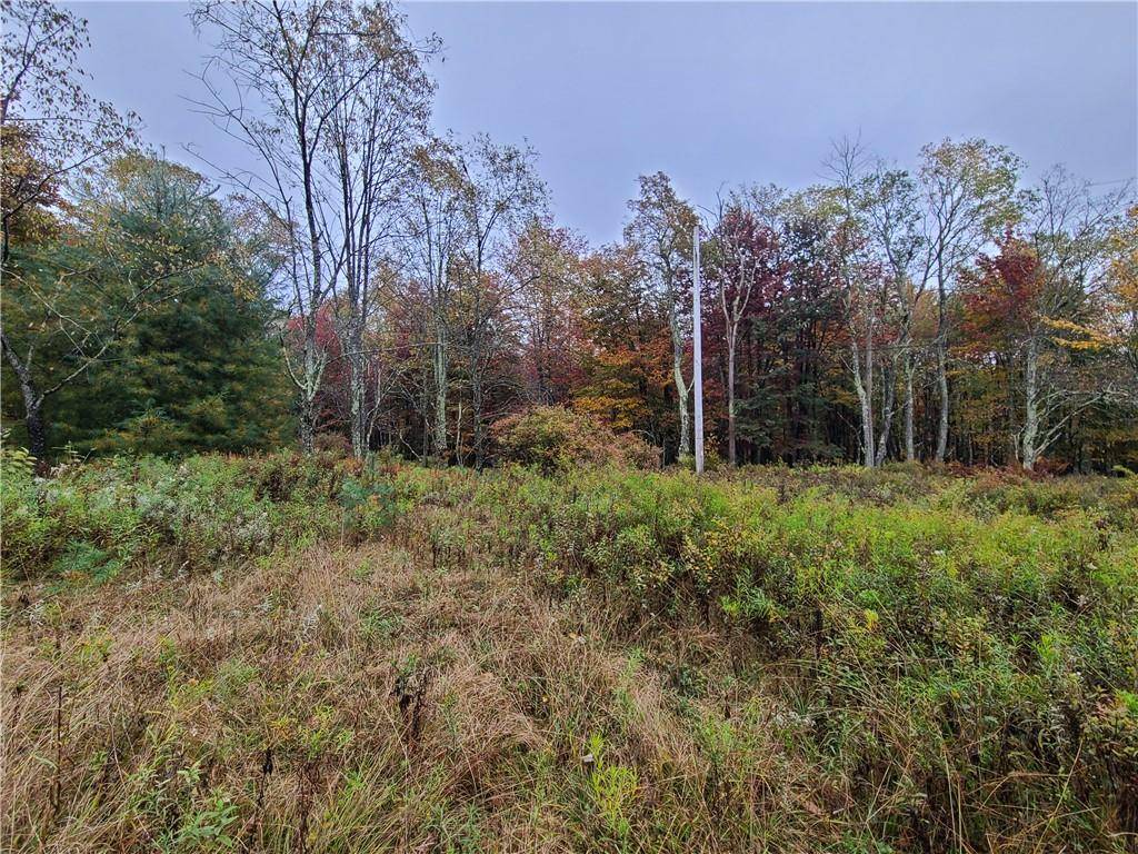 116 Voss RD, Claryville, NY 12725