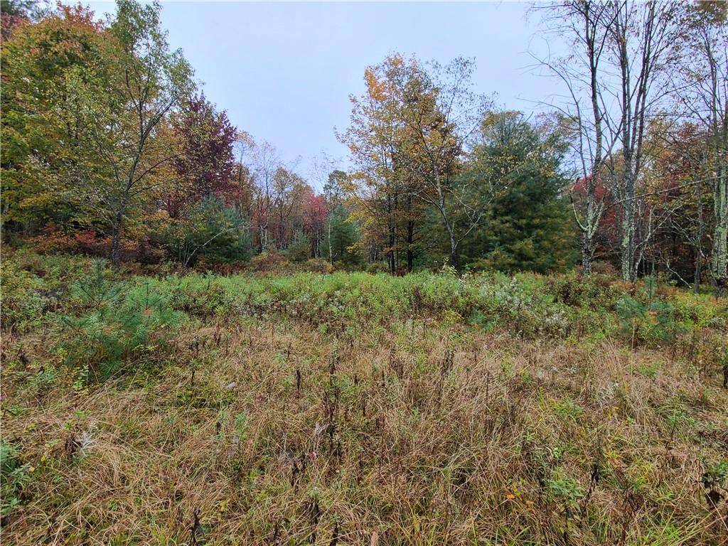 116 Voss RD, Claryville, NY 12725