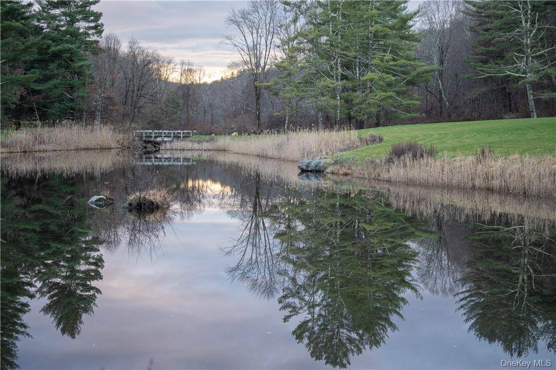 165 Duell Hollow RD, Wingdale, NY 12594