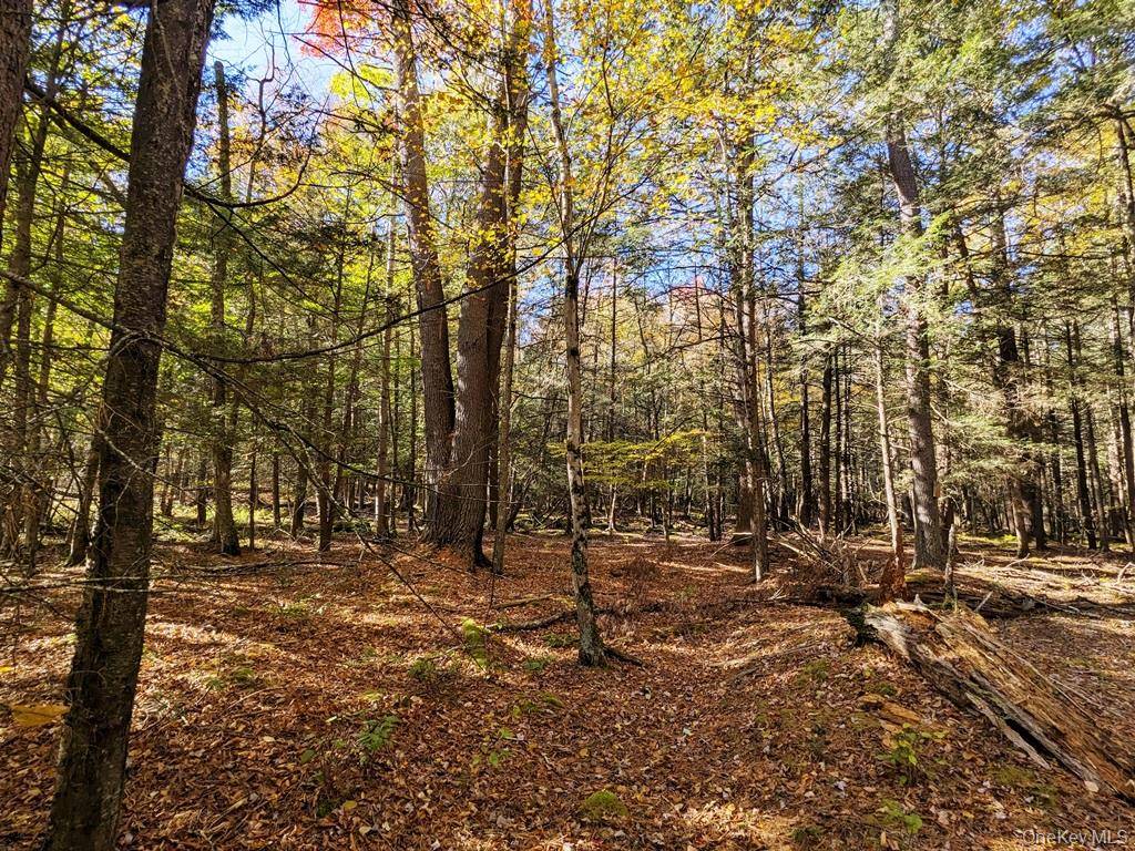 Moscoe RD, Bethel, NY 12786