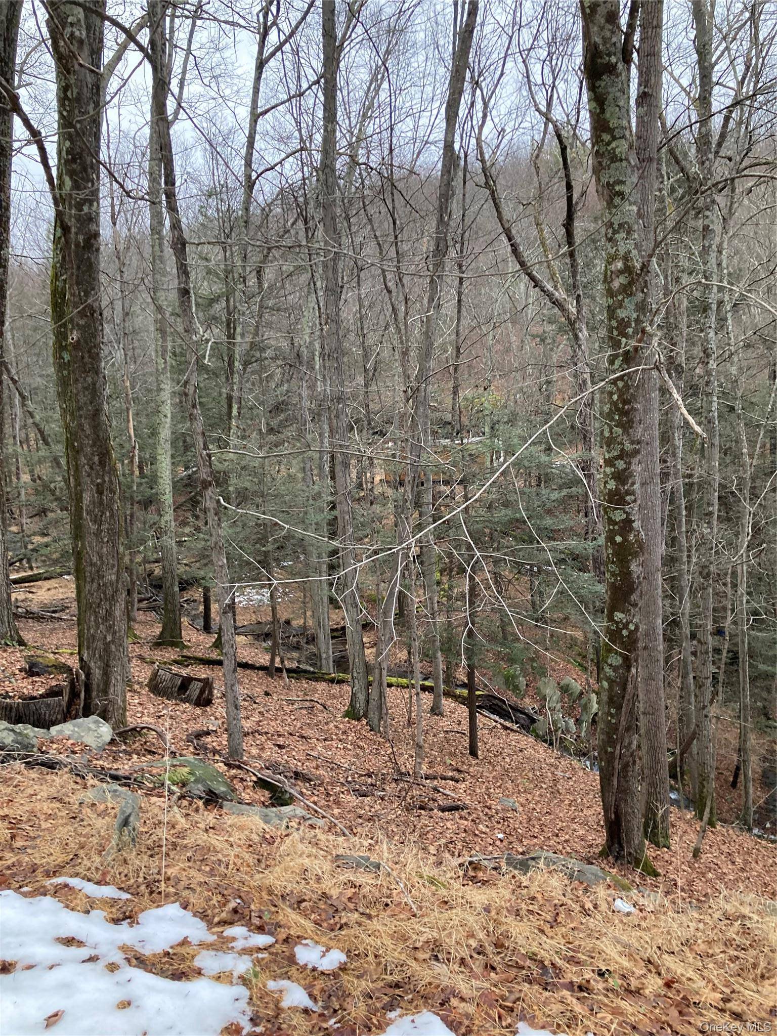 Red Hill RD, Wurtsboro, NY 12790
