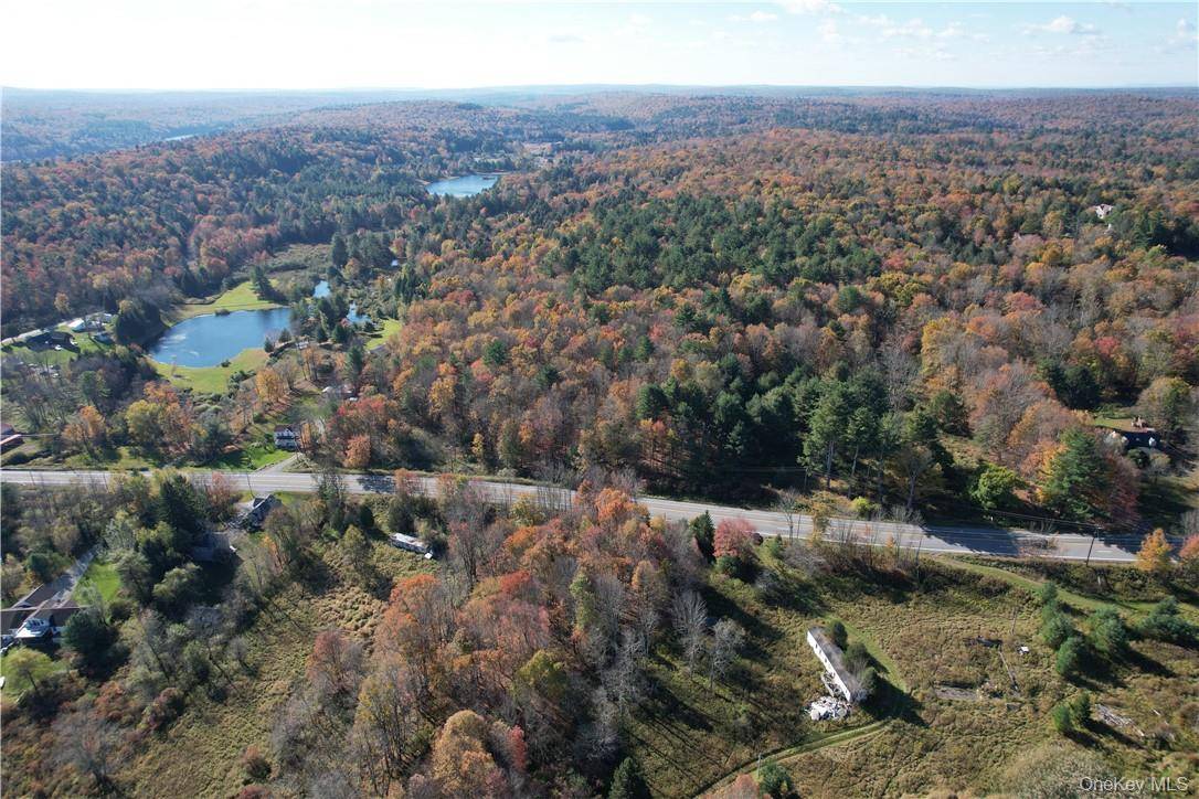 1195 NYS Route 17B, Mongaup Valley, NY 12762
