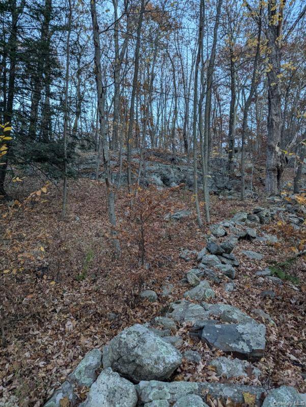 250 Hortontown RD, Hopewell Junction, NY 12533