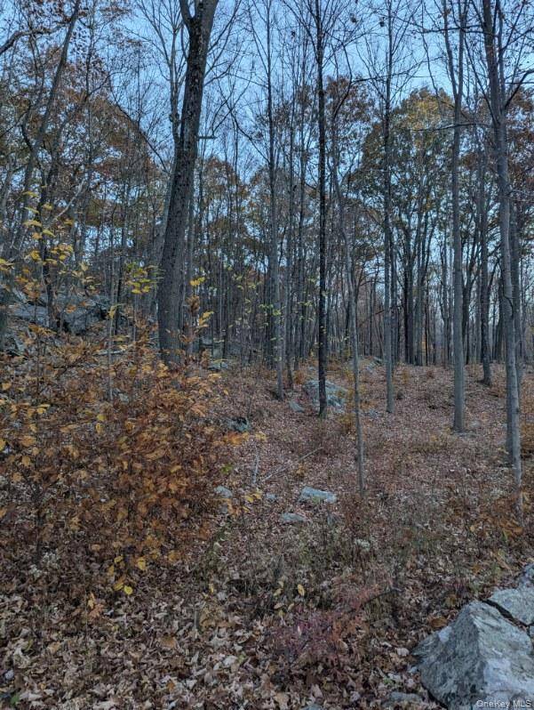 250 Hortontown RD, Hopewell Junction, NY 12533