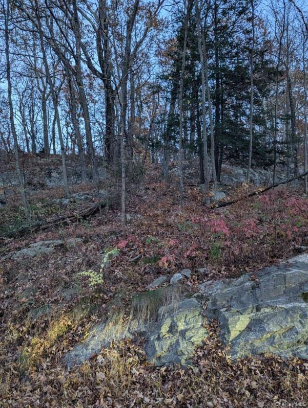 250 Hortontown RD, Hopewell Junction, NY 12533
