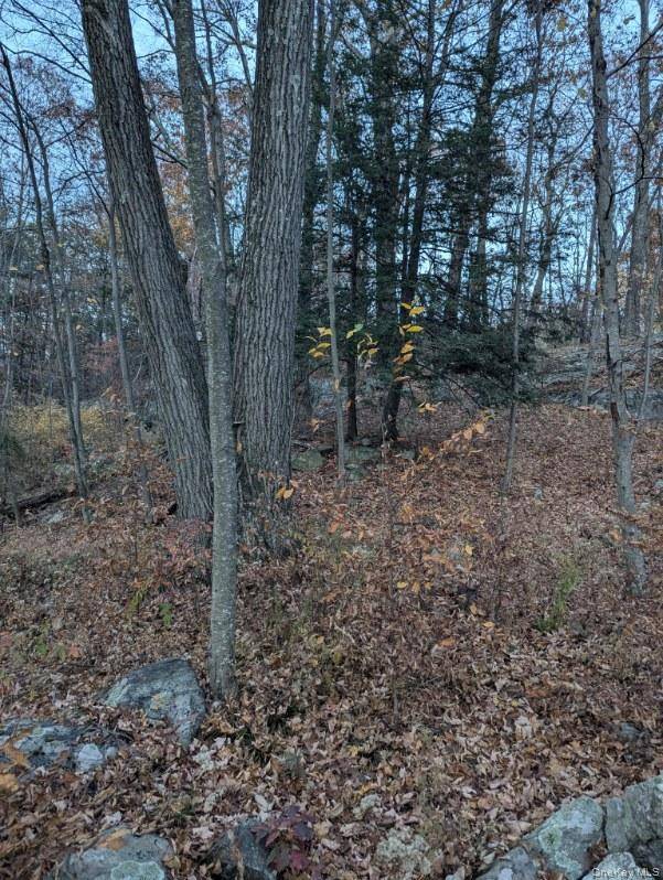 250 Hortontown RD, Hopewell Junction, NY 12533