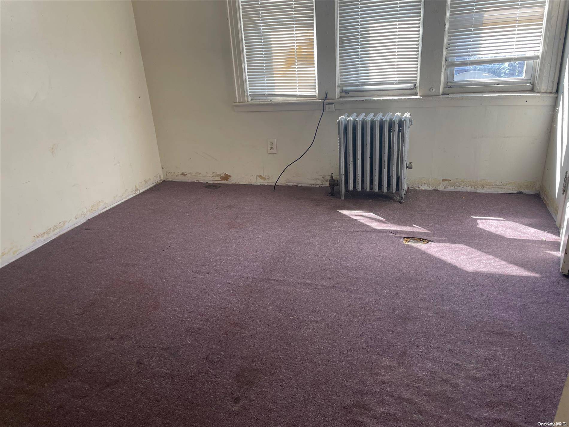114-31 145th ST, Jamaica, NY 11436