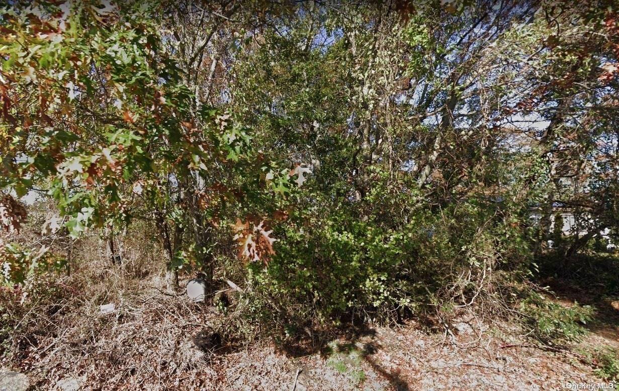 Amarr DR, Shirley, NY 11967