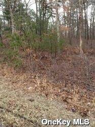 Middle Country RD, Middle Island, NY 11953
