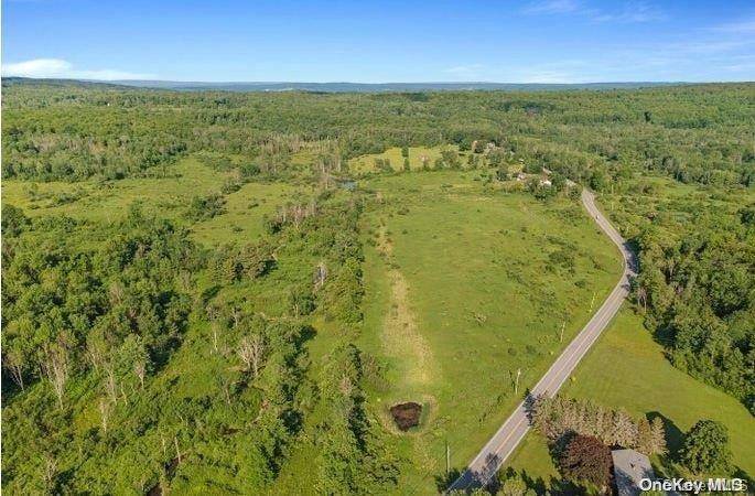 L8. 111 Churches Rd Ridges, Other, NY 12053