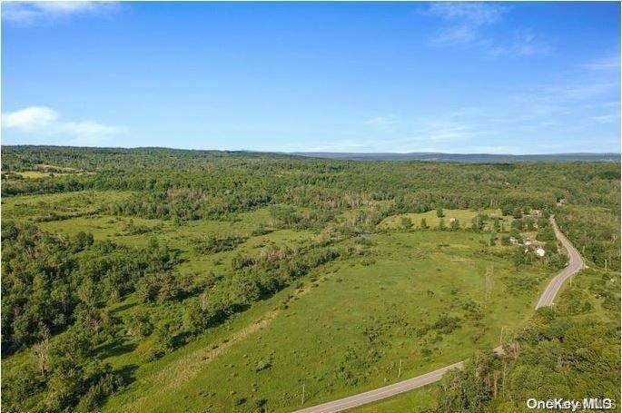 L8. 111 Churches Rd Ridges, Other, NY 12053