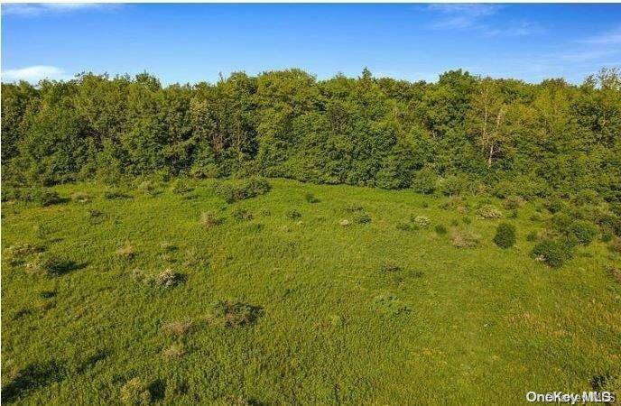 L8. 111 Churches Rd Ridges, Other, NY 12053