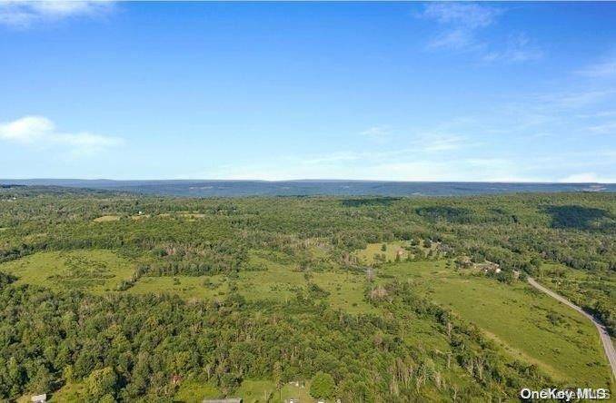 L8. 111 Churches Rd Ridges, Other, NY 12053