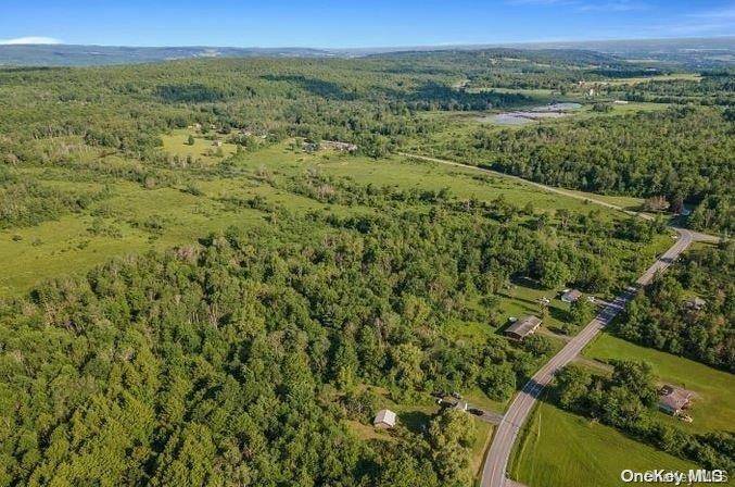 L8. 111 Churches Rd Ridges, Other, NY 12053