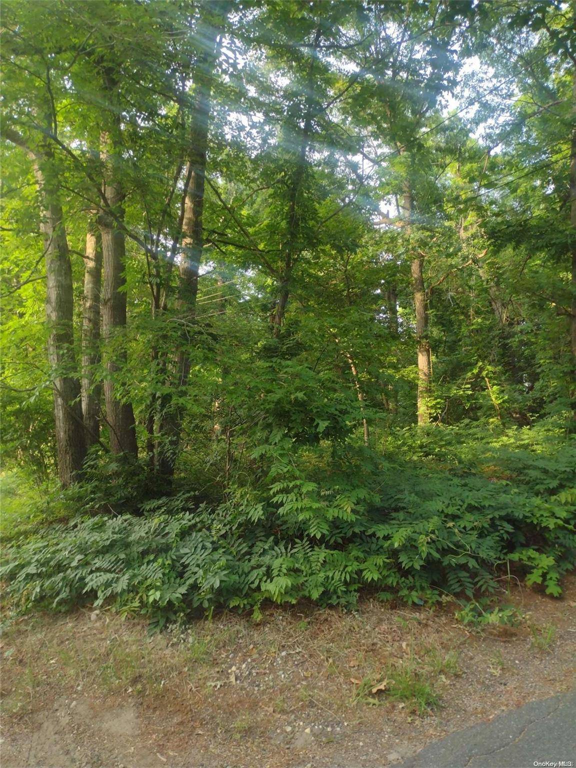 Cedar LN, Medford, NY 11763