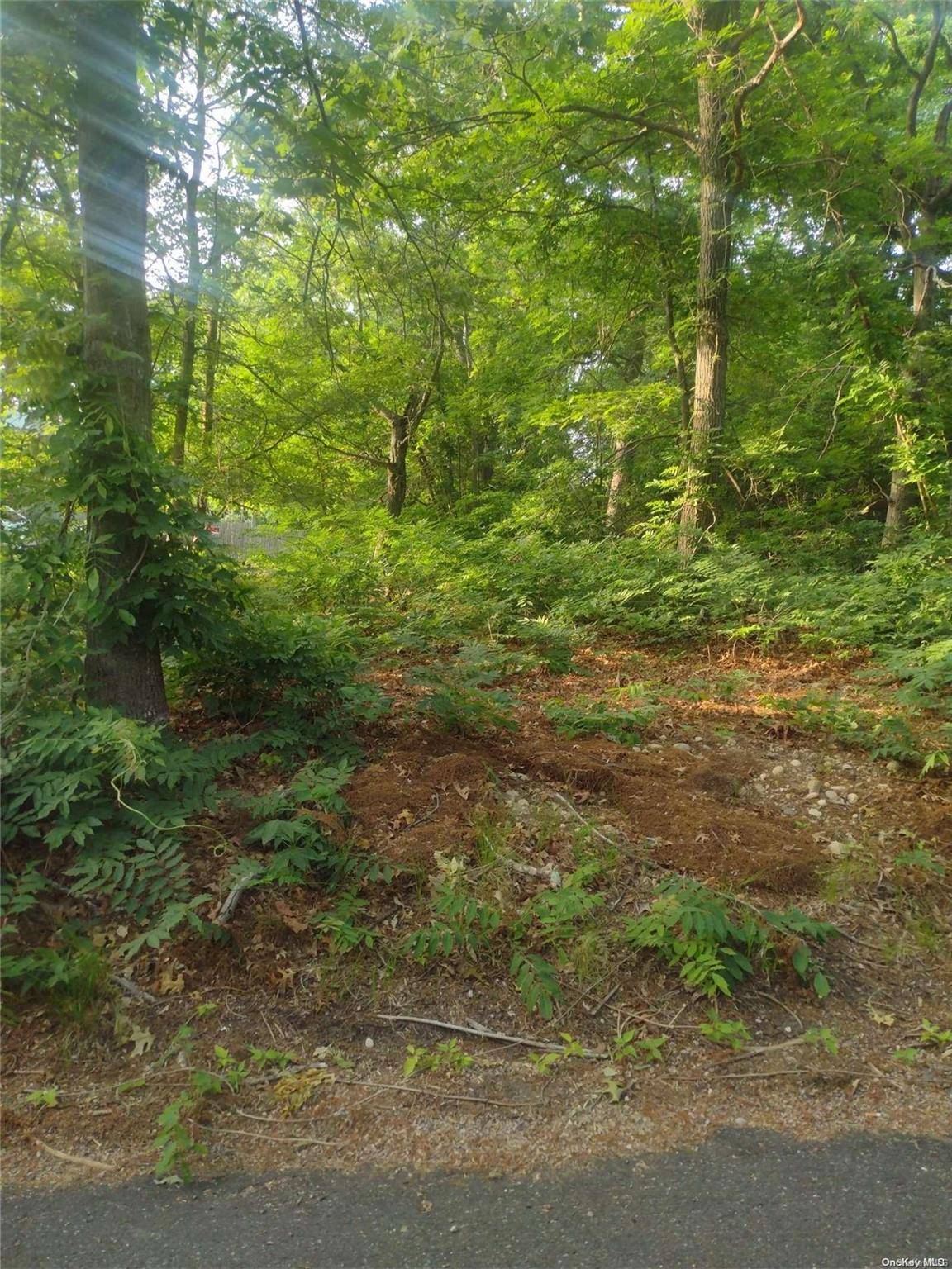 Cedar LN, Medford, NY 11763