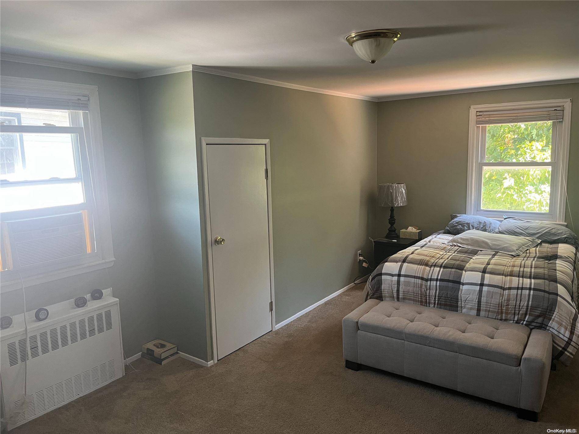 169 Patton BLVD, New Hyde Park, NY 11040