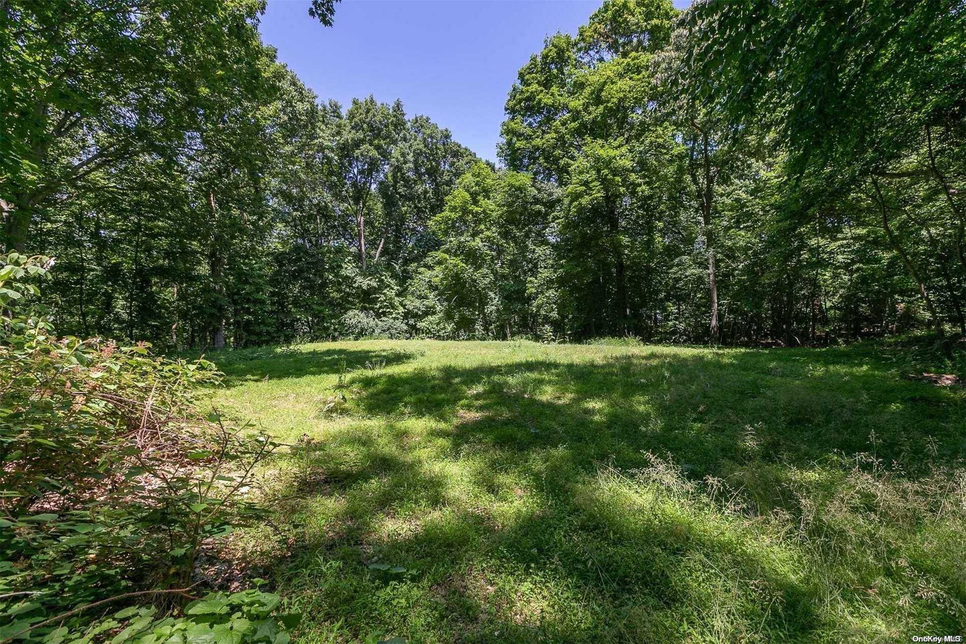 5 Hawks Nest, Nissequogue, NY 11780