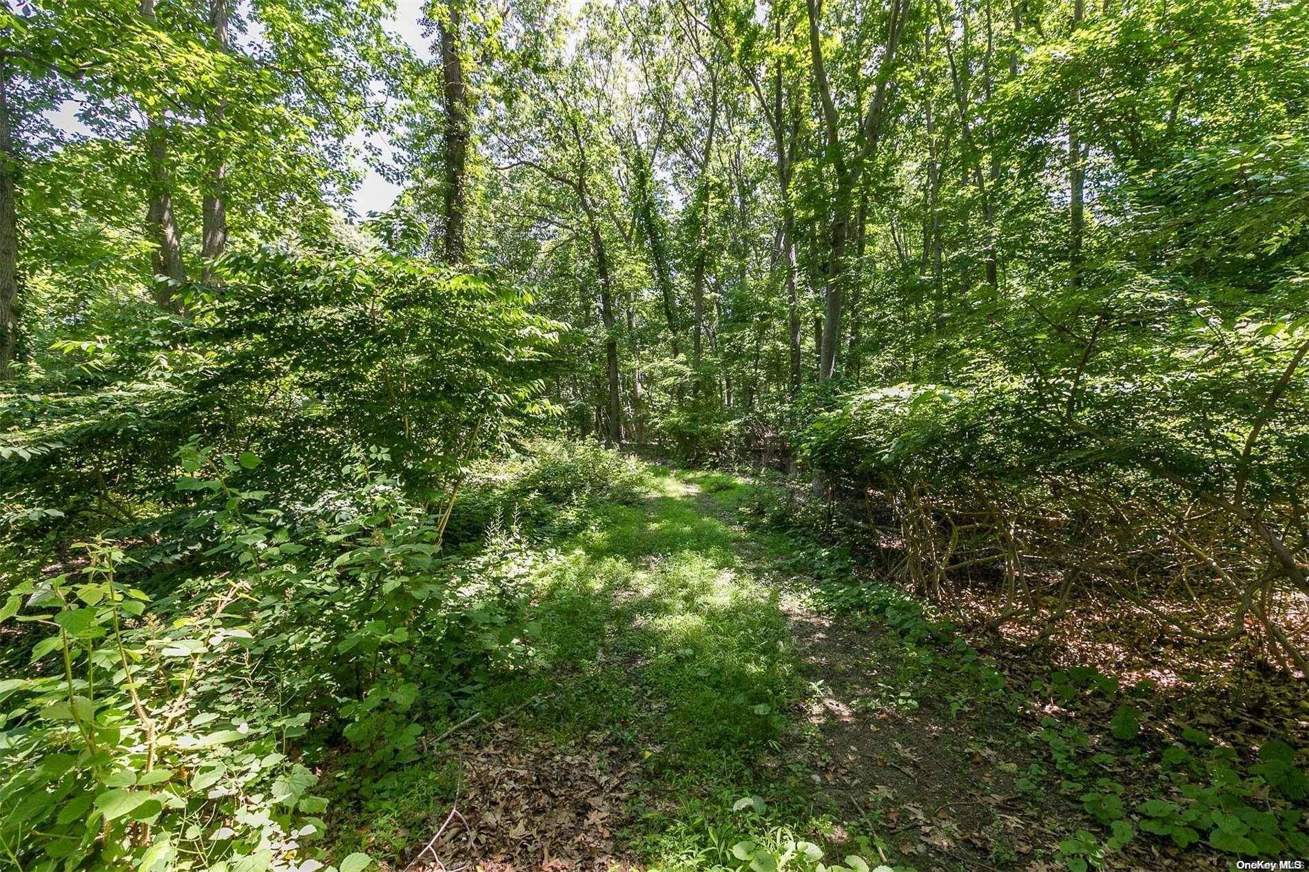 5 Hawks Nest, Nissequogue, NY 11780