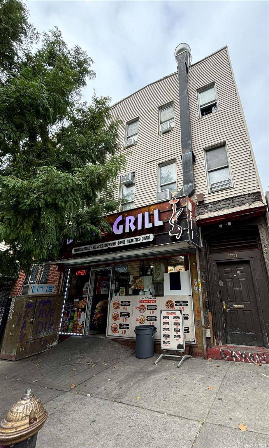 773 Park AVE, Brooklyn, NY 11206