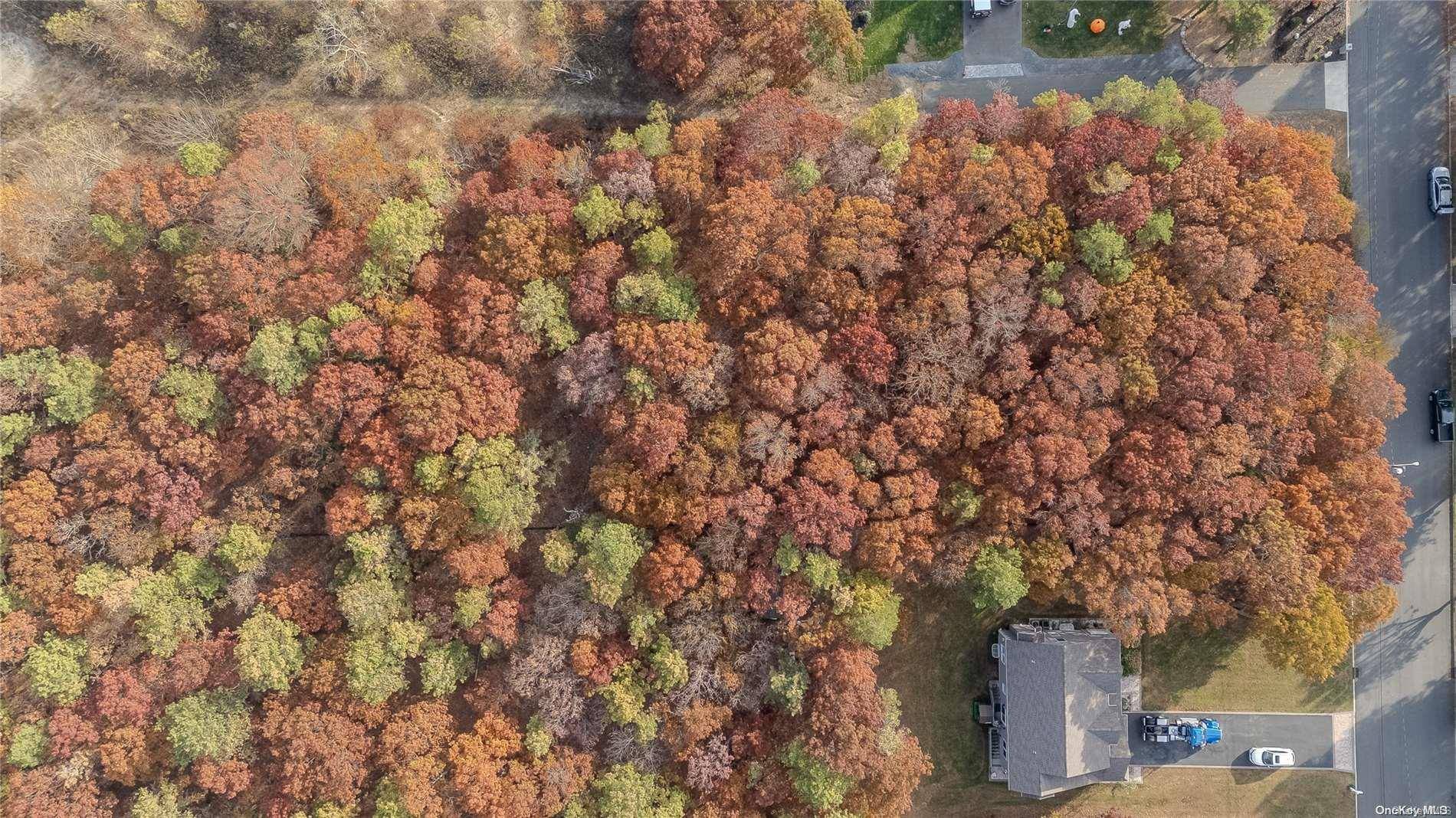 V/L Elmhurst AVE, Medford, NY 11763