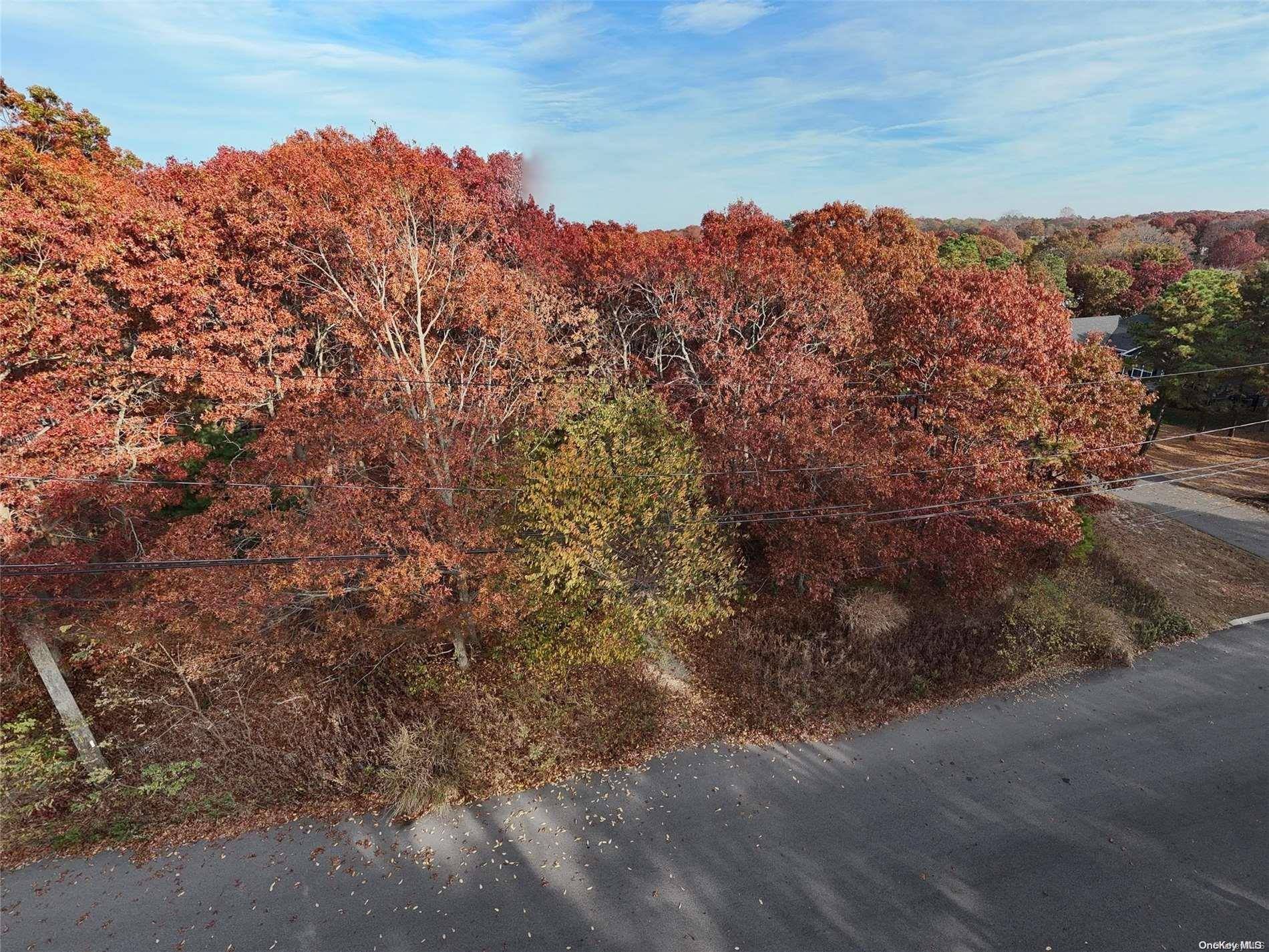 V/L Elmhurst AVE, Medford, NY 11763