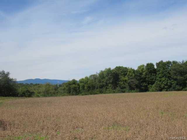 COUNTY ROAD 19, Germantown, NY 12523