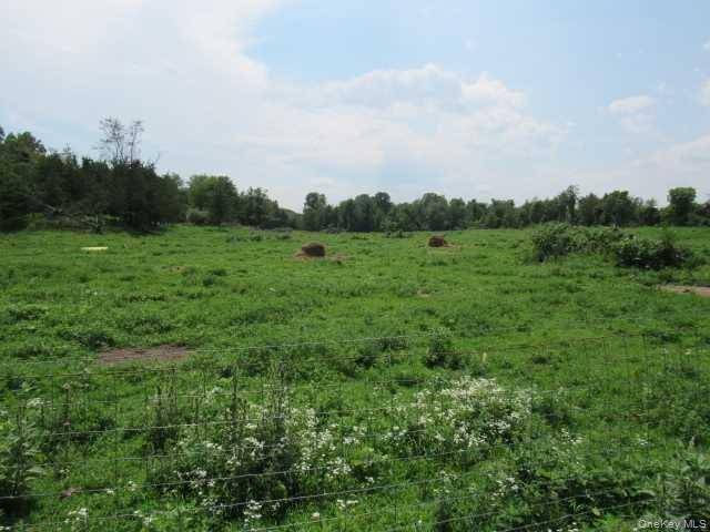 COUNTY ROAD 19, Germantown, NY 12523