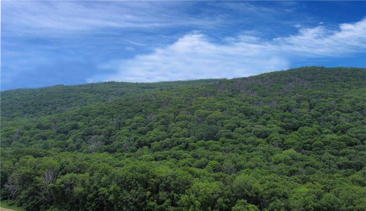 CASCADE MOUNTAIN RD, Amenia, NY 12501