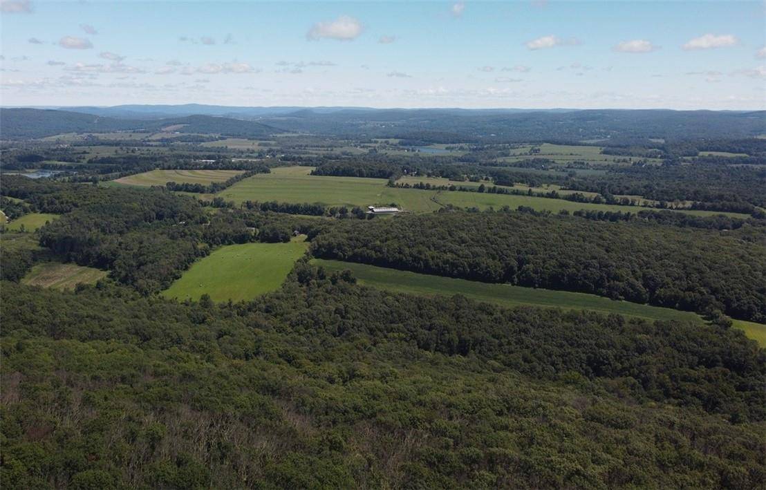 CASCADE MOUNTAIN RD, Amenia, NY 12501