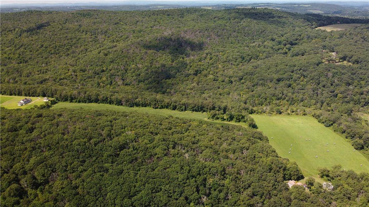 CASCADE MOUNTAIN RD, Amenia, NY 12501