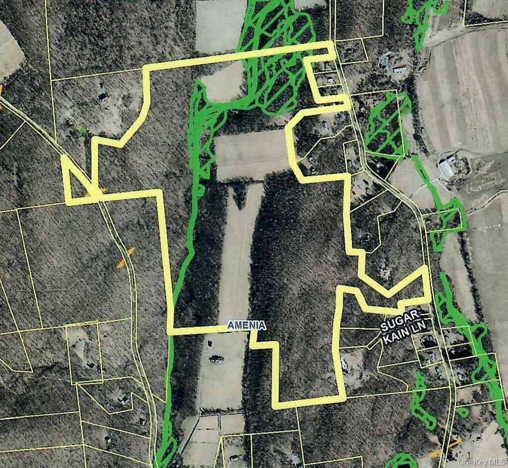 PERRYS CORNERS RD, Amenia, NY 12501