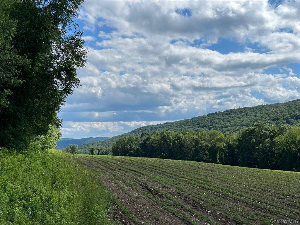 PERRYS CORNERS RD, Amenia, NY 12501