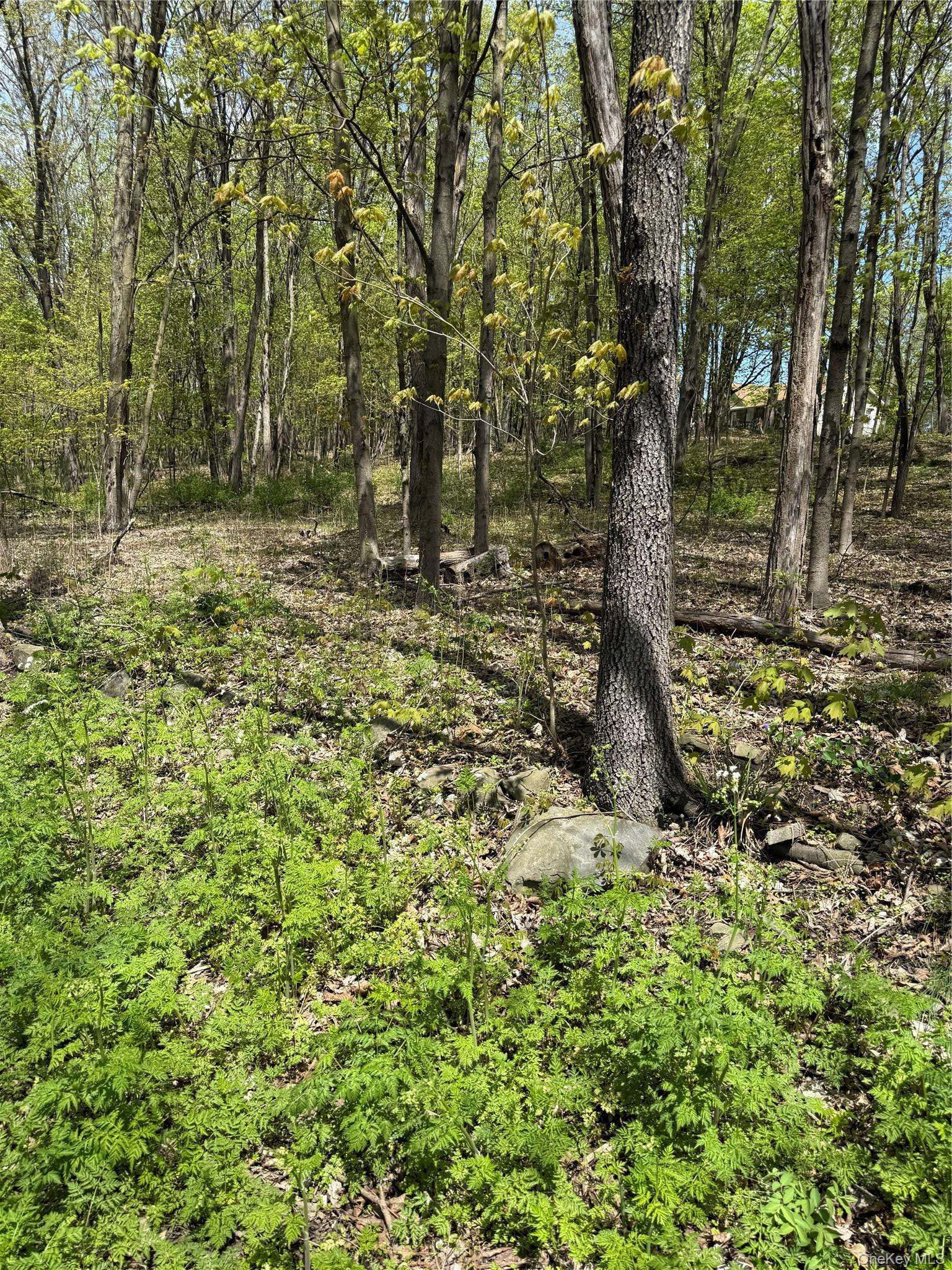 120 Floyd Ackert RD, Esopus, NY 12429