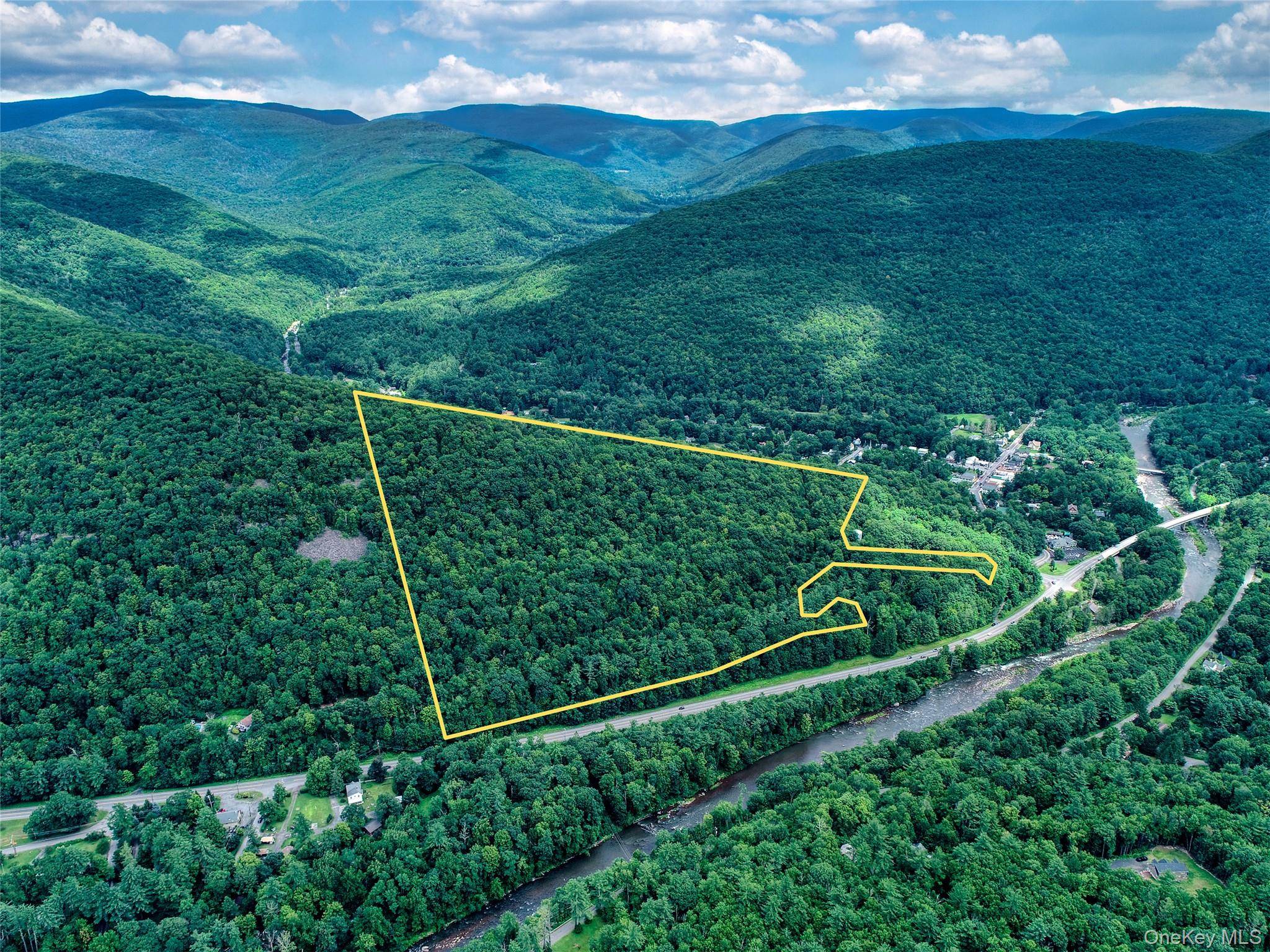 TBD NY-28 Route, Phoenicia, NY 12464