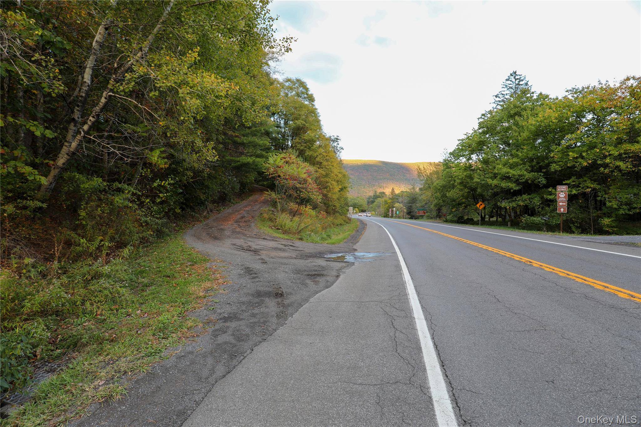 TBD NY-28 Route, Phoenicia, NY 12464
