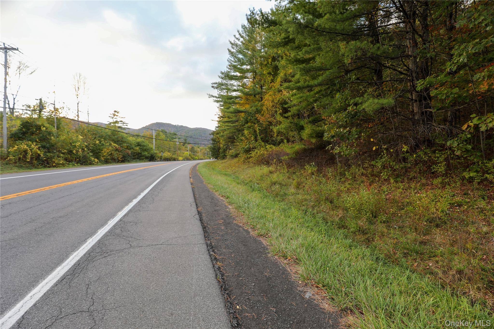 TBD NY-28 Route, Phoenicia, NY 12464