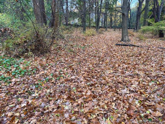 252 Milltown, Brewster, NY 10509