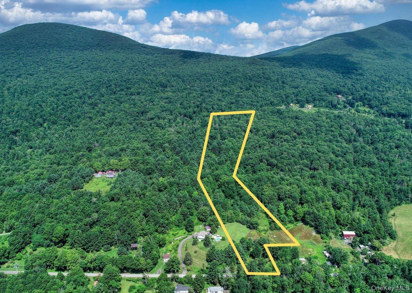 252 Upper Samsonville RD, Olivebridge, NY 12461