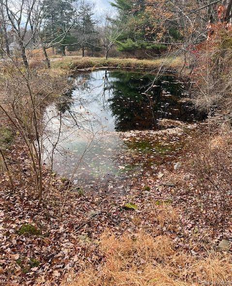 252 Upper Samsonville RD, Olivebridge, NY 12461