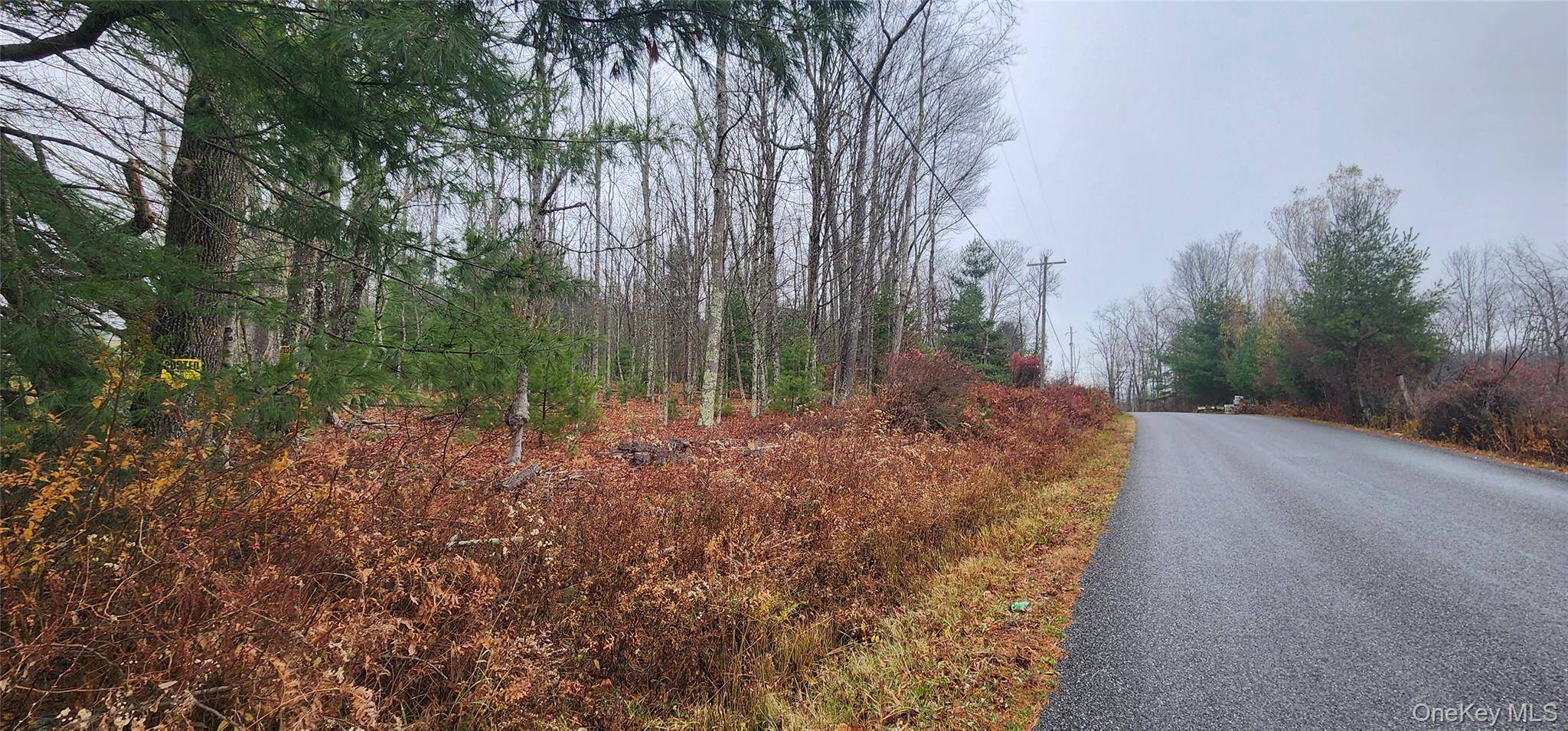 Thompson RD, Thompsonville, NY 12784