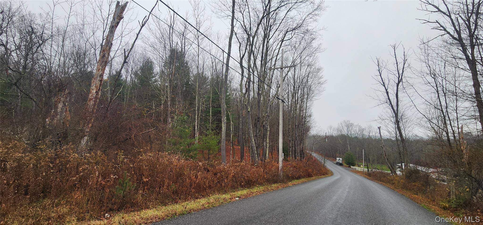 Thompson RD, Thompsonville, NY 12784