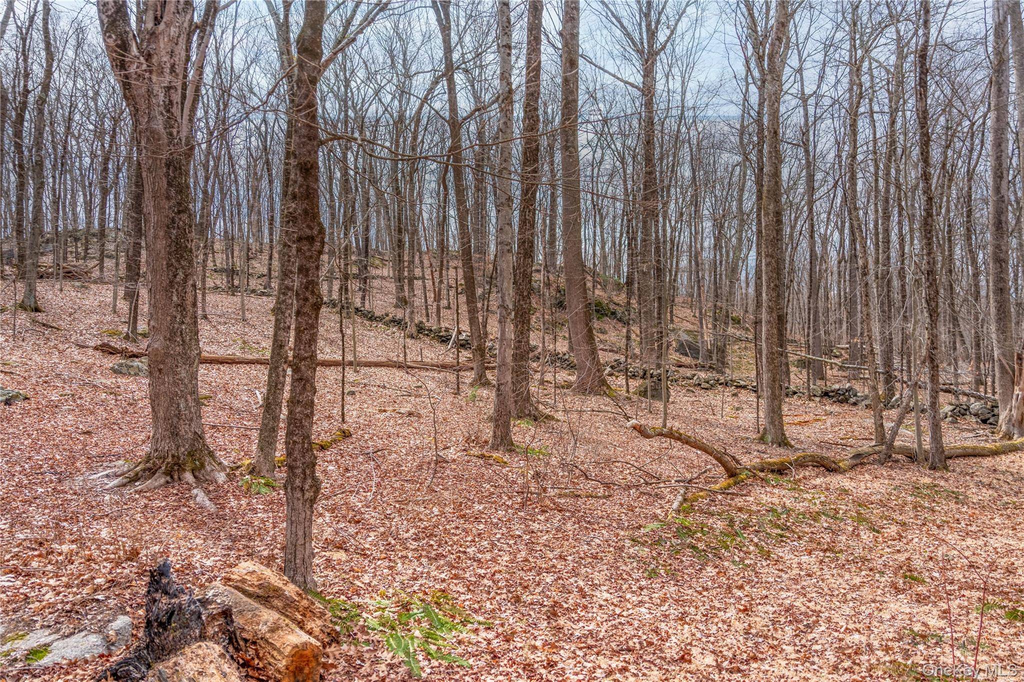 32 Joshua Hobby LN, Pound Ridge, NY 10576