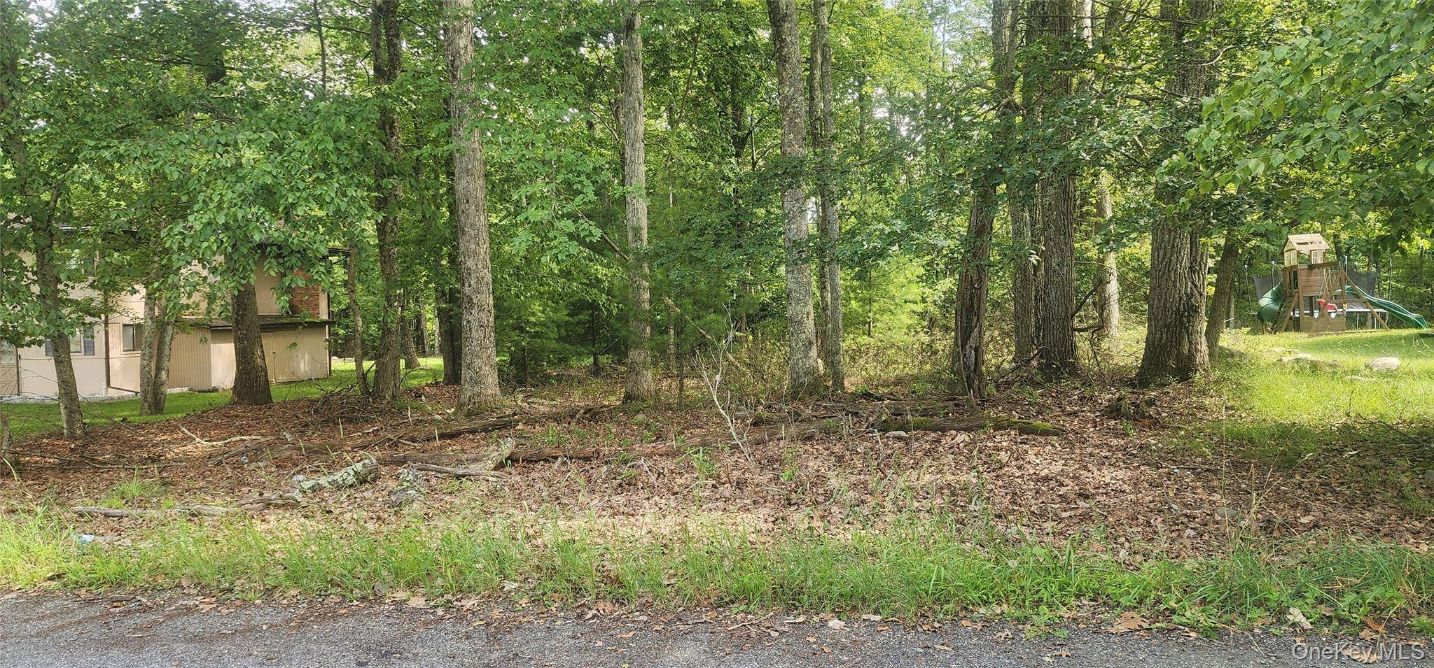 Chelsea LN, Rock Hill, NY 12775